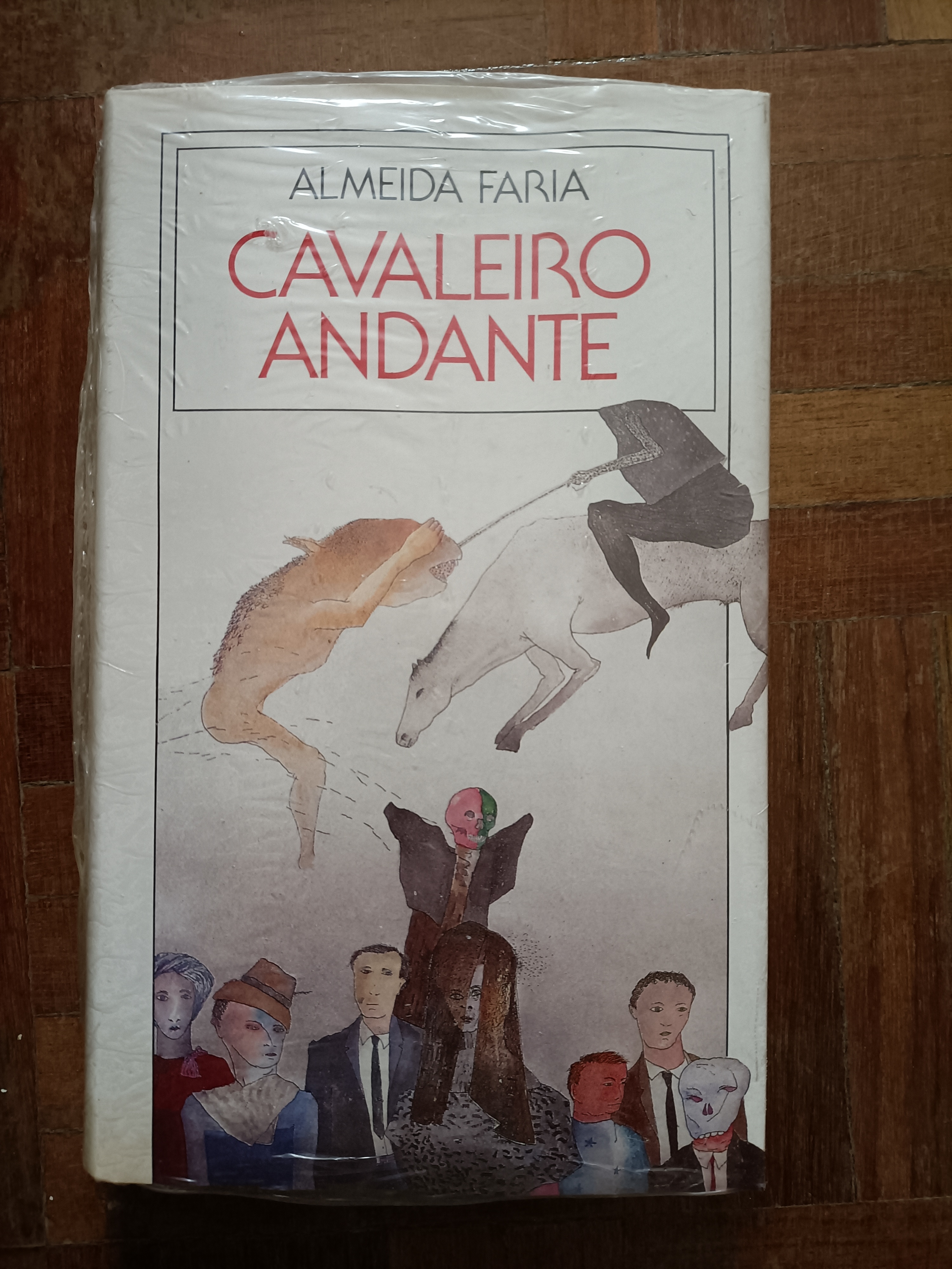 Cavaleiro Andante - Capa