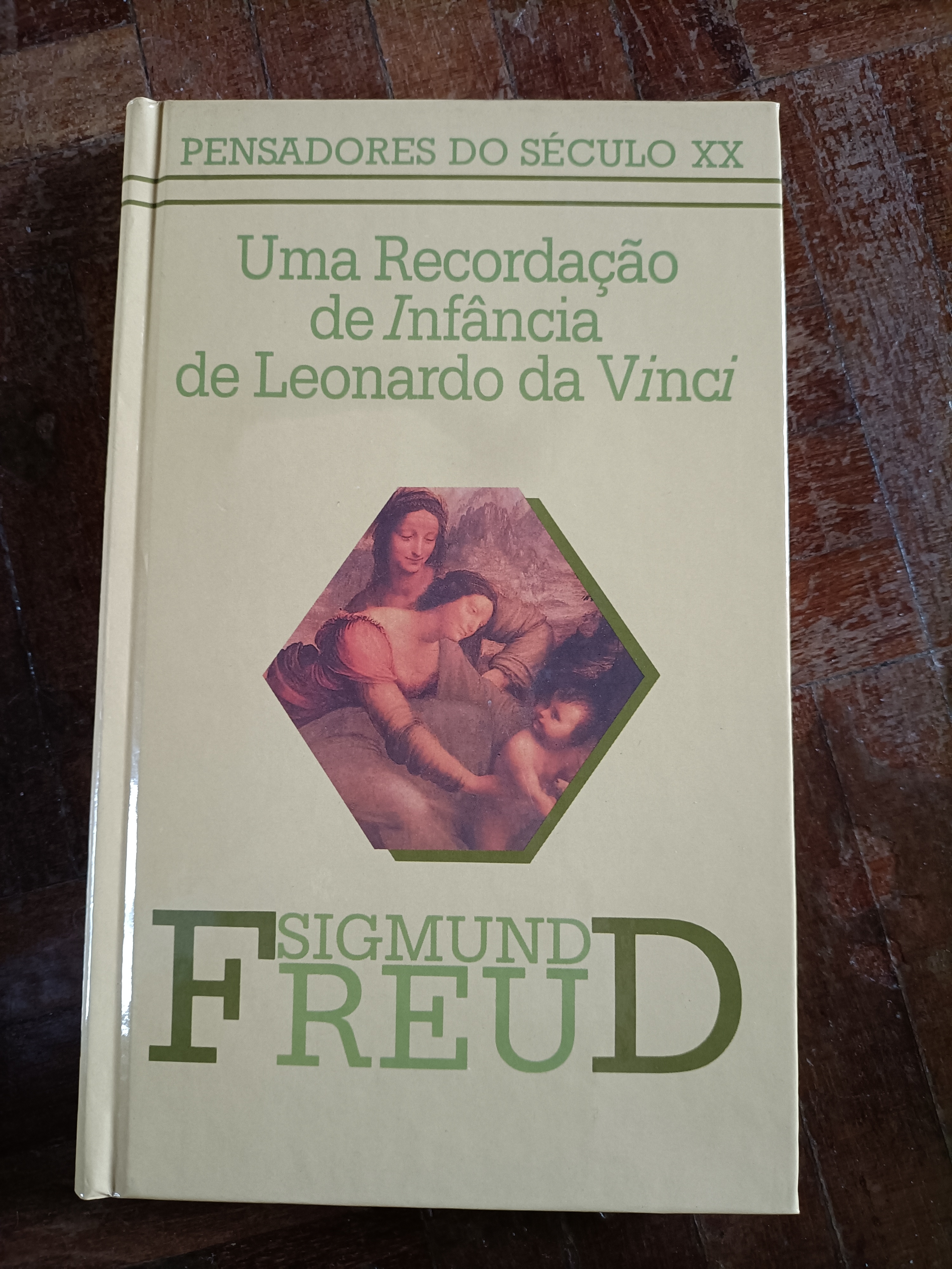 Uma Recordação de Infância de Leonardo da Vinci - Capa