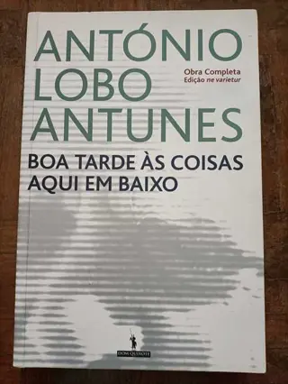 Boa Tarde às Coisas Aqui em Baixo de António Lobo Antunes | LivrosPT