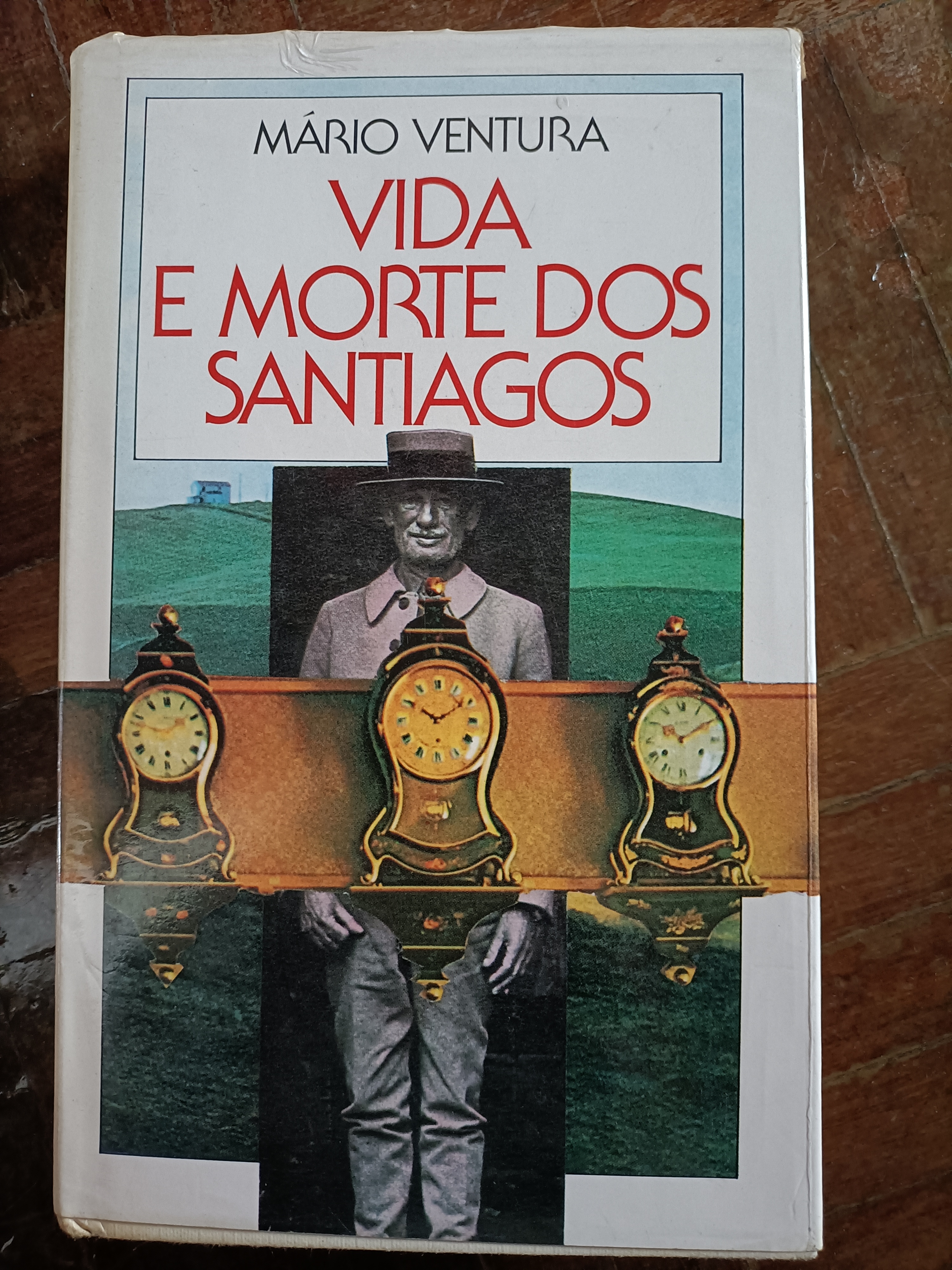 Vida e Morte dos Santiagos - Capa