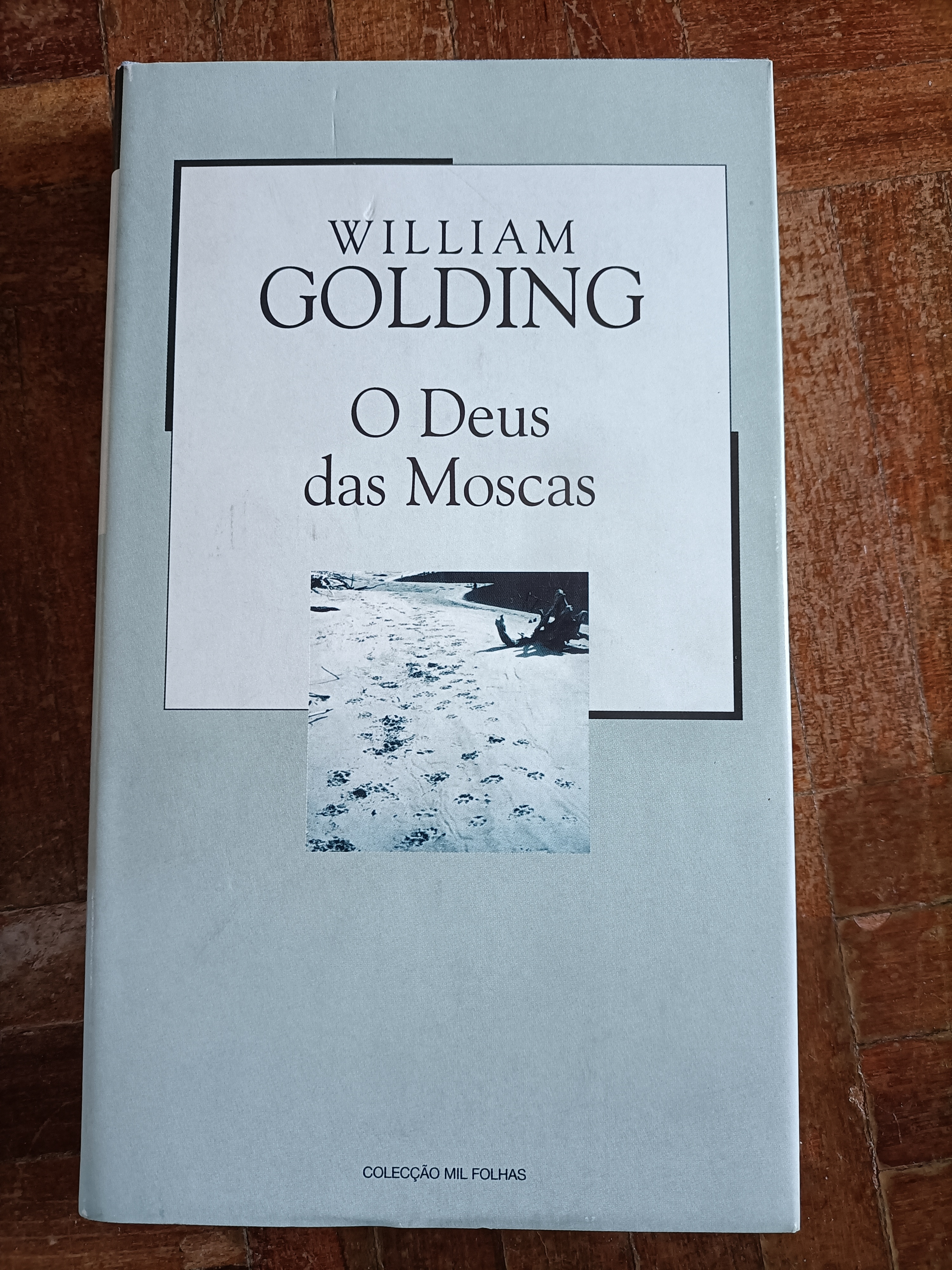 O Deus das Moscas - Capa