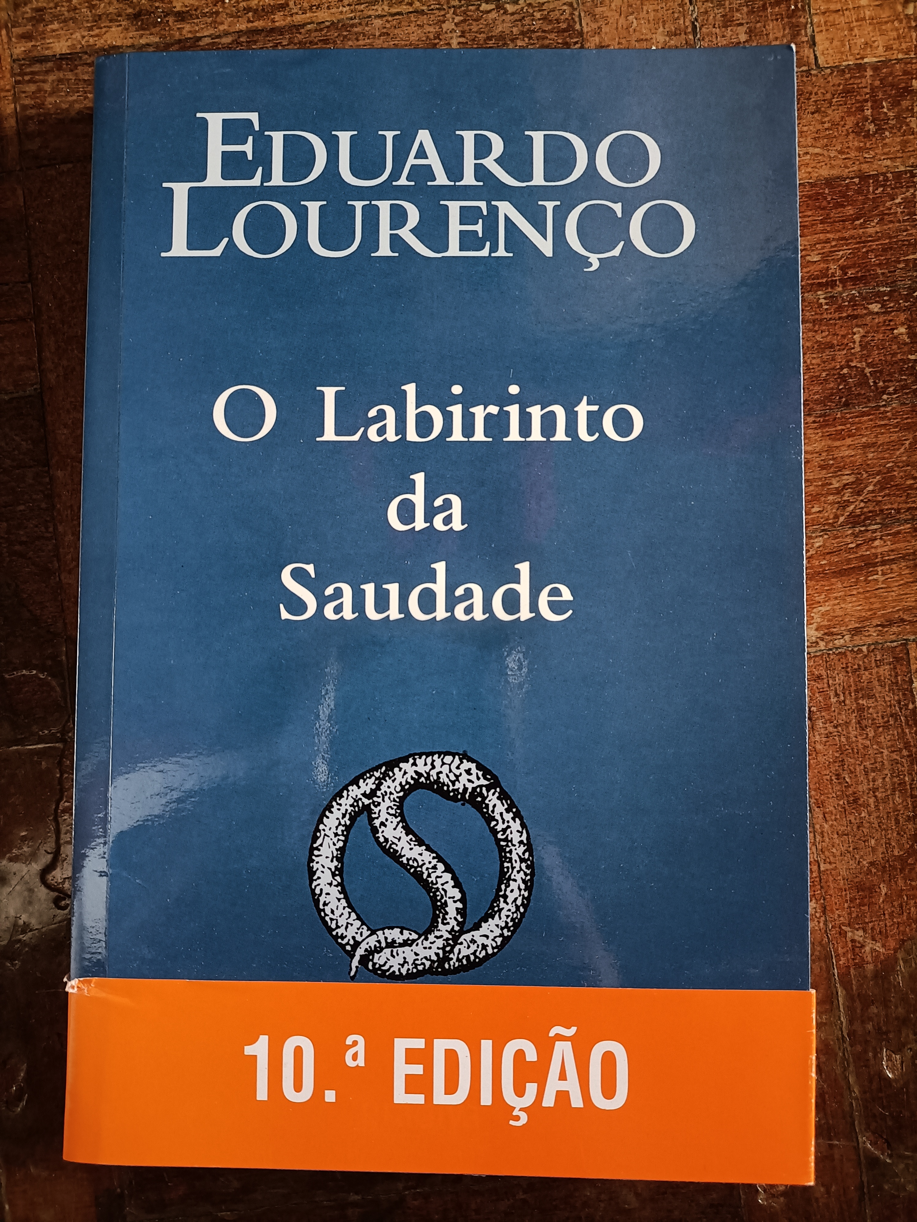 O Labirinto da Saudade - Capa